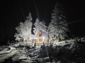 Weekend house Lokve - Modern